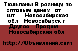 Тюльпаны В розницу по оптовым ценам (от 100 шт.) - Новосибирская обл., Новосибирск г. Другое » Продам   . Новосибирская обл.